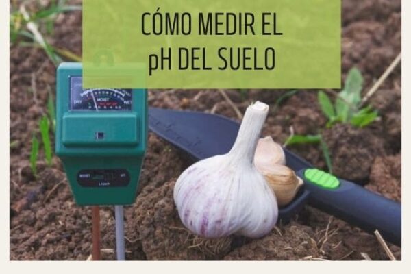 Procedimiento Para Determinar El Ph Del Suelo