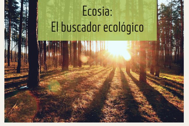 Ecosia: el buscador que contribuye a la reforestación